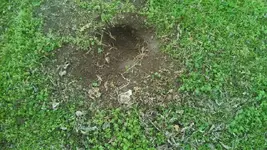 hole.webp