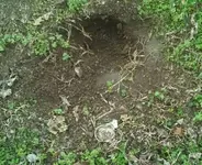 hole - Copy.webp