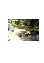 img019.webp img019.webp