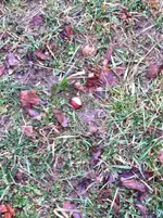 ImageUploadedByTreasureNet.com1425096279.765610.webp ImageUploadedByTreasureNet.com1425096279.765610.webp