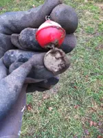 ImageUploadedByTreasureNet.com1425096305.447766.webp