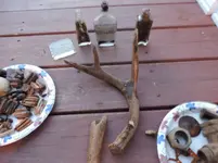 DSCN0917.webp