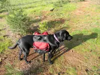 DSCN0171.webp