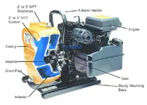 cutaway.webp