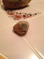 ImageUploadedByTreasureNet.com1425125781.225393.webp