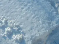 DSCF0007.webp