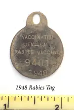 rabies.webp