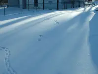 DSCF0004.webp