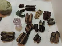 DSCN0930.webp