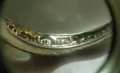 3_22_2015 ring marking.webp 3_22_2015 ring marking.webp