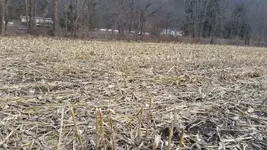 20150316_172900.webp