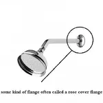 rose cover.webp