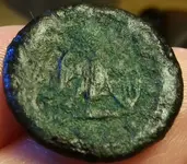 20150220 button closeup.webp
