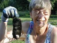 Copy of Mole 6-24-2009 02.webp