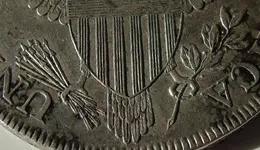 DSC00139_zpssgbvaaxd.webp