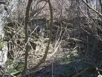 CIMG5113.webp