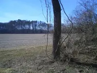 CIMG5118.webp