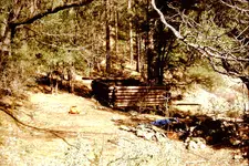 PICT0317.webp