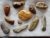 DSCN1865.webp