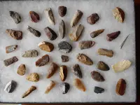 DSCN1863.webp