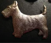 ImageUploadedByTreasureNet.com1423785122.203856.webp ImageUploadedByTreasureNet.com1423785122.203856.webp