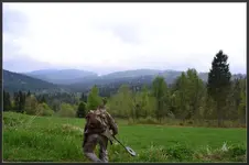 1 (47).webp