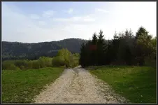 1 (21).webp