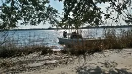 11051419_409611775882366_2059774523_n[1].webp