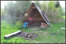 biesy (4).webp