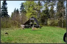 biesy (5).webp