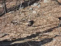 DSCN2059.webp