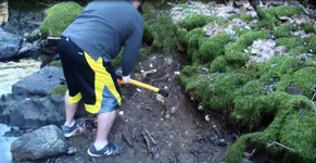 d3 digging here2.webp d3 digging here2.webp
