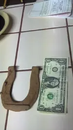 Horsey_Shoe.webp