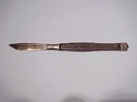 Scalpel.webp