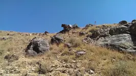 325926512.webp 325926512.webp