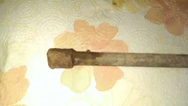 IMAG1414.webp