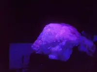 Steves new car and rock with black light 013.webp