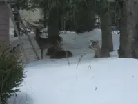 DSCN2042.webp