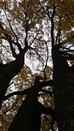 20141004_172433.webp