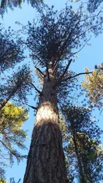 20141005_161235.webp
