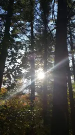 20141005_161259.webp