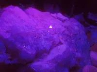 Steves new car and rock with black light 014.webp