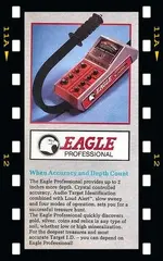 eagle_01.webp