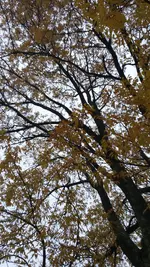 20141004_172425.webp