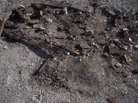 DSCN4298.webp
