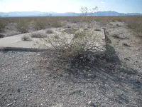 DSCN4300.webp