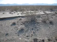DSCN4306.webp