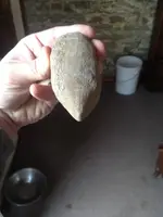 ImageUploadedByTreasureNet.com1425169611.676648.webp
