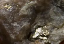 gold3.webp