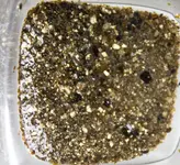gold6.webp